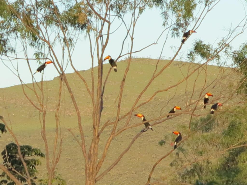 Pousada Recanto Da Grande Paz Hotell Alto Paraíso de Goiás Exteriör bild